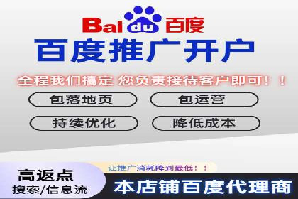 百度竞价推广的ROI优化策略：一则案例分析